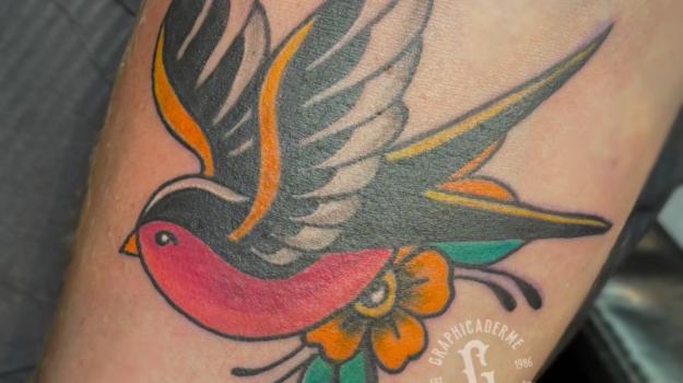  graphicaderme-tamarachaudesaigues-hirondellesoldschool-swallowtattoocolor-meilleurstatoueursavignon-meilleurstatoueursoldschool