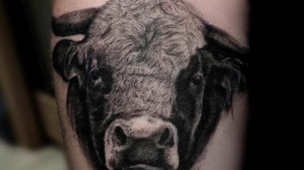 graphicaderme-tamarachaudesaigues-tatouagetaureaurealiste-tatouagetaureau-tatouagerealisteanimal-meilleurstatoueursavignon-portraittaureau.jpg 