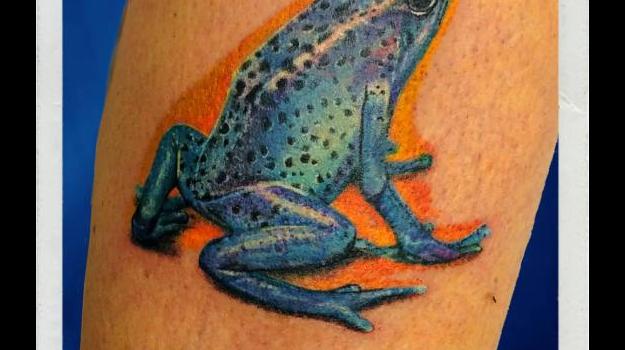 tattoo-tatouage-grenouille-piercing-art-vaison-vaucluse-dessin-peinture-bollène-nyons-buislesbaronnies-tulette-malaucène-cavaillon-robion-coustellet-drôme-ardèche-tatouagecouleur