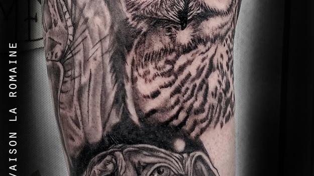 tattoo-tatouage-Harry-potter-chouette-hibou-piercing-art-vaison-vaucluse-dessin-peinture-bollène-nyons-buislesbaronnies-tulette-malaucène-cavaillon-robion-coustellet-drôme-ardèche-tatouagenoiretgris