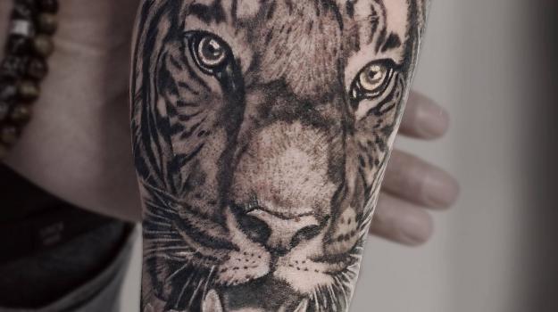 tattoo_tatouage_piercing_art_vaison_la_romaine_vaucluse_tigre_félin_peinture_bollène_nyons_buis_les_baronnies_tulette_malaucène_cavaillon_robion_coustellet_drôme_ardèche_noir_et_gris_réalisme_bras