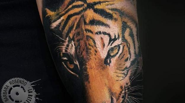 meilleure-tatoueuse-paris-barbara-rosendo-tatouage-tigre-realiste-tattoo