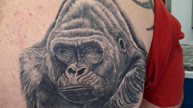 tatouer-borgo-tatouage-bastia-tatouage-gorille-bastia-tattoo