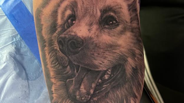 tatoueur-saint-flour-avignon-stephane-chaudesaigues-chien-tatouage-realiste